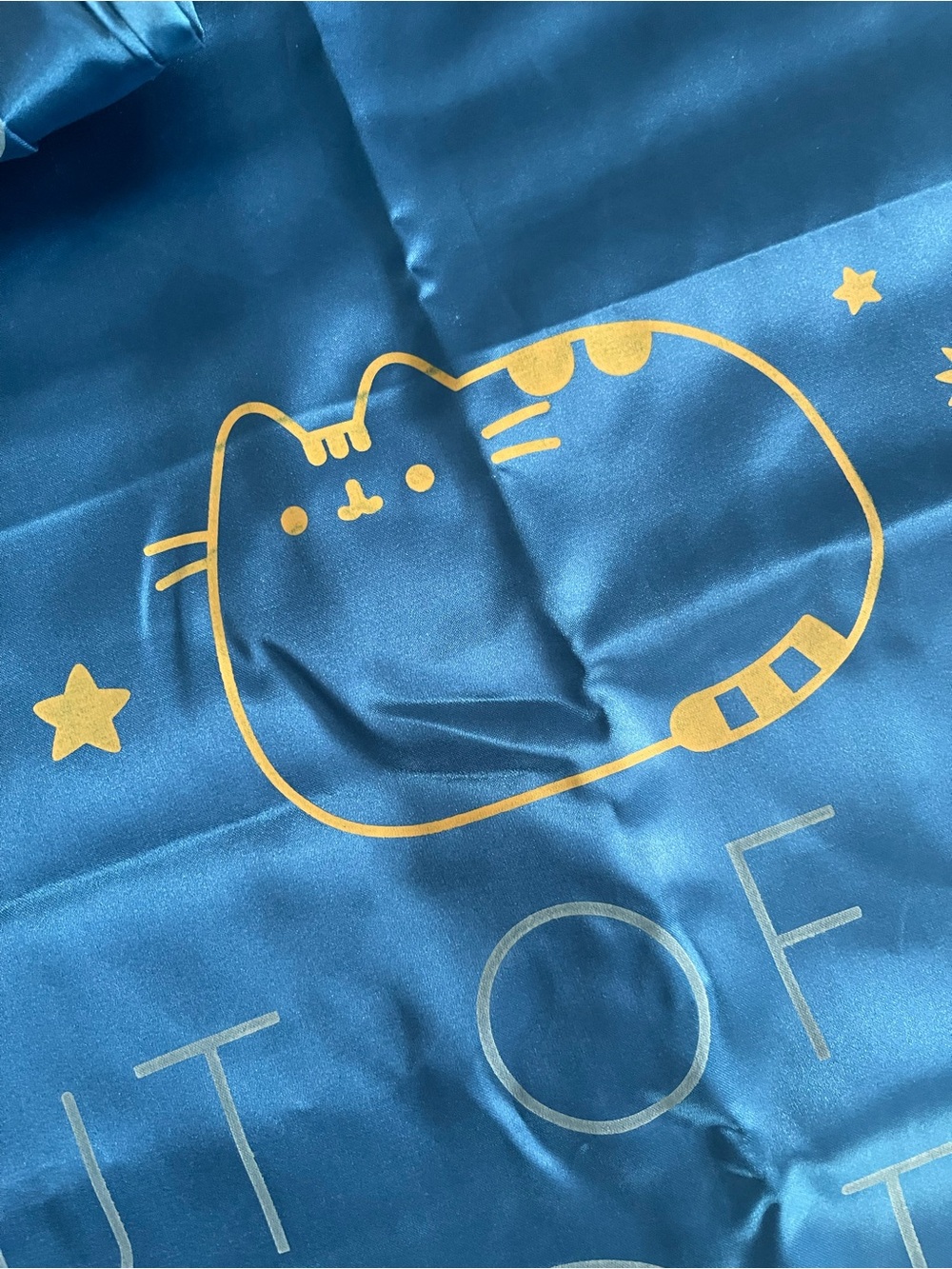 2-Pusheen Pillow Case
